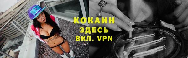 первитин Новодвинск