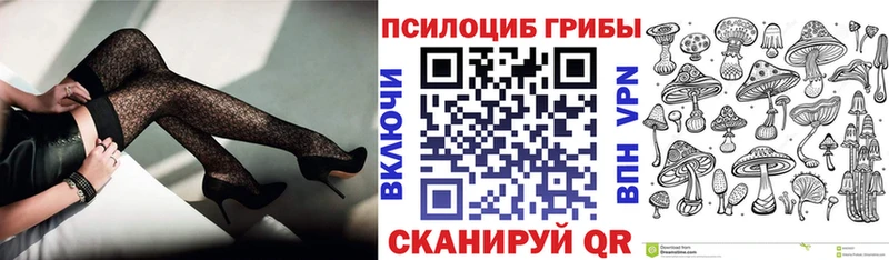 наркота  Саранск  нарко площадка наркотические препараты  Псилоцибиновые грибы Cubensis  ОМГ ОМГ tor 