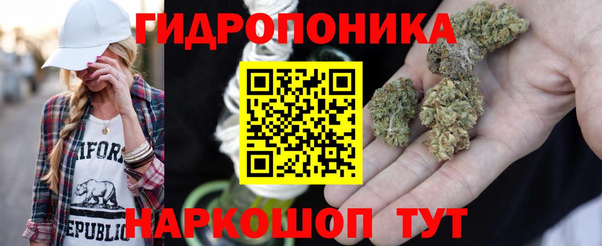 Саранск  Бошки Шишки AK-47  Шишки марихуана планчик  Шишки марихуана сатива  Вход с VPN 